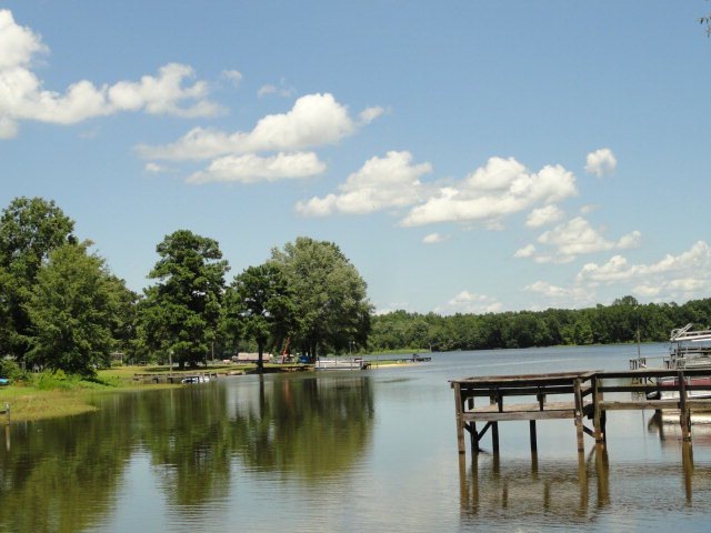 1696 Ralph Bell Rd, Summerton, SC 29148 - photo 1