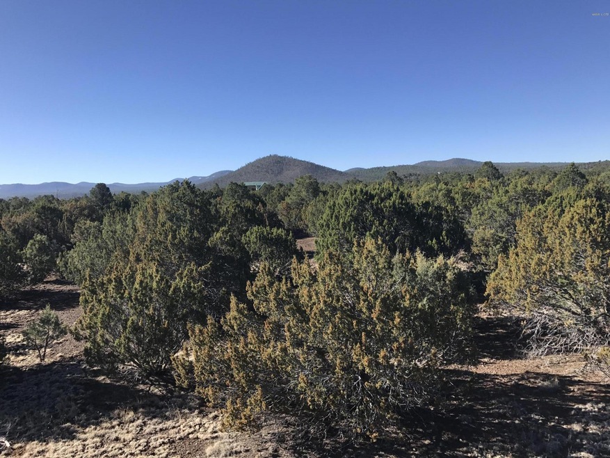 Timber Knoll in the distance