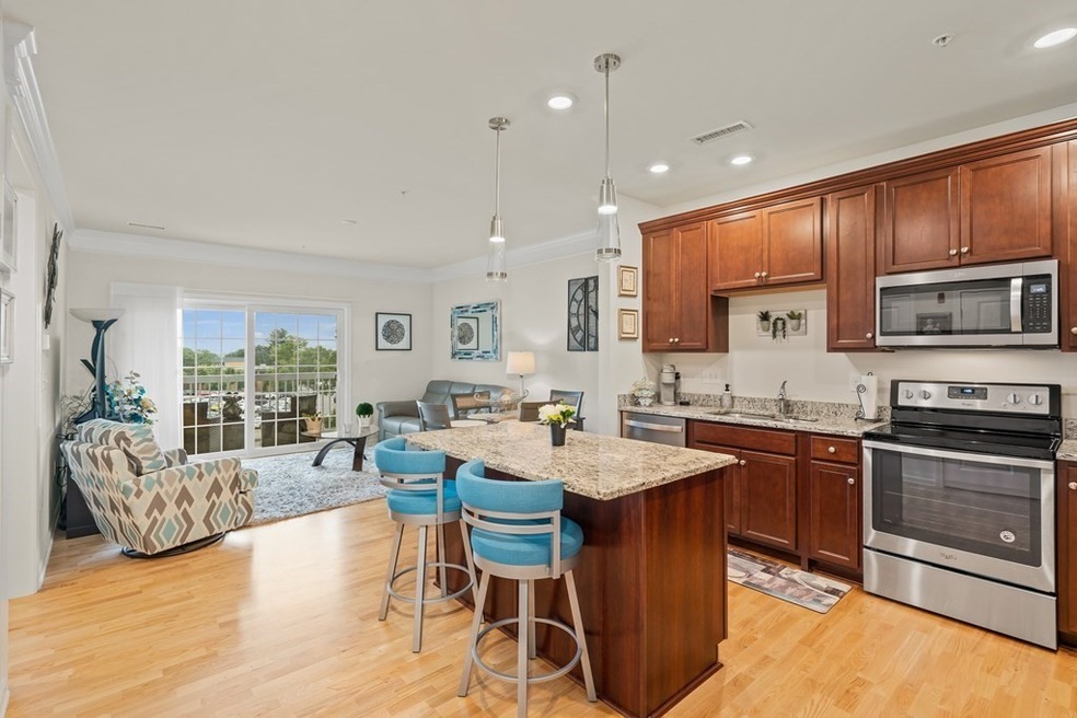 1 Francis Dr unit 302, Andover, MA 01810 - photo 1