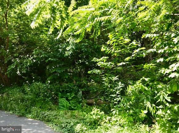 Lot 9 Hackberry Cir, Shepherdstown, WV 25443 - photo 1