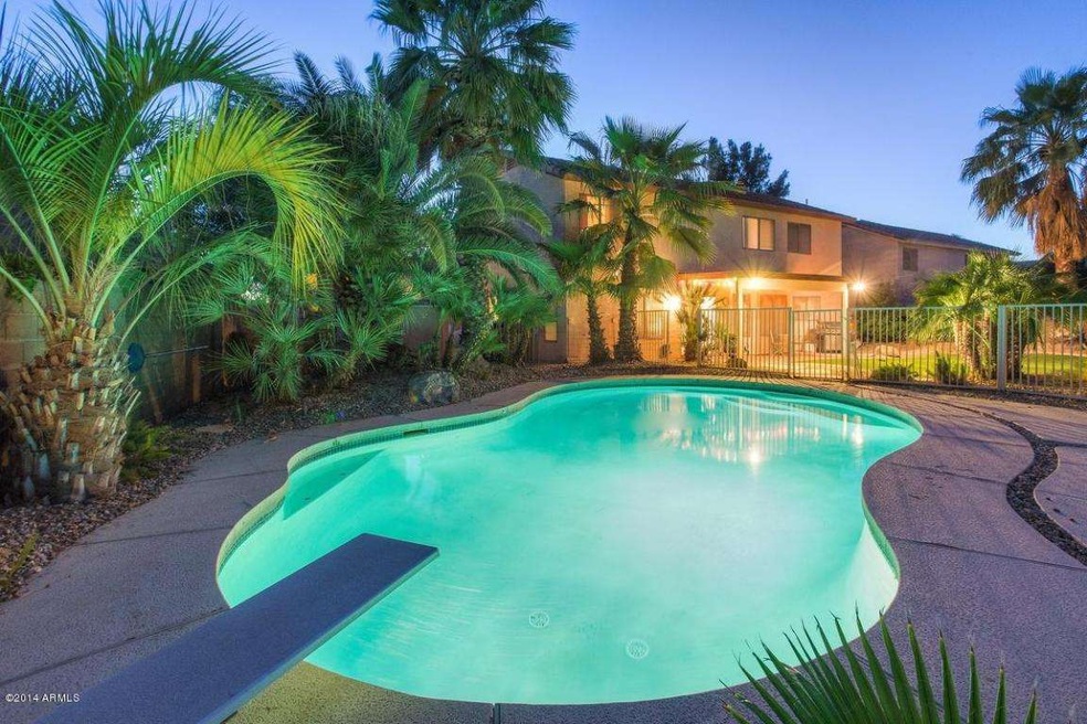 Tropical Backyard Oasis at Twilight