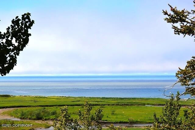 OCEAN VIEW!
