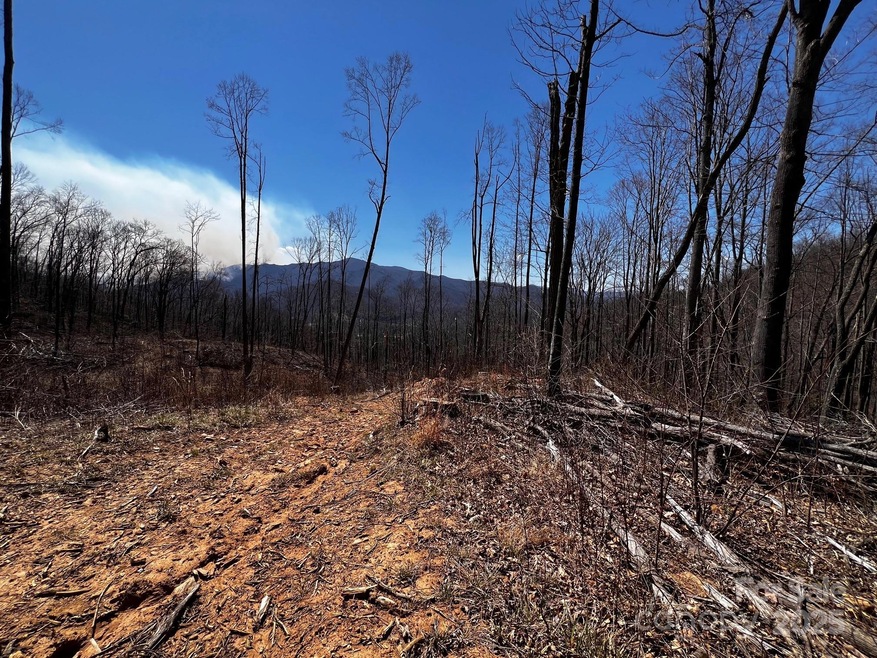 0 Rocky Face Dr unit RF-2, Canton, NC 28716 - photo 1