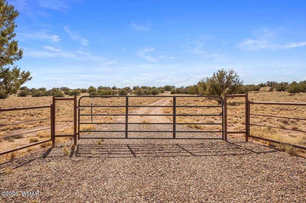 8804 Johnson Hill Trail, Snowflake, AZ 85937 - photo 1