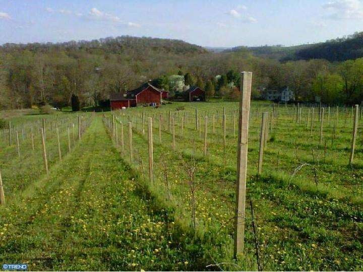 0 Dreibelbis Station Rd unit 1004178508, Lenhartsville, PA 19534 - photo 1