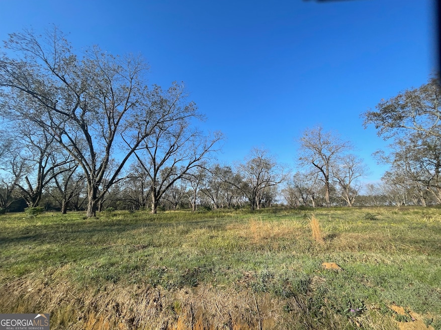 8 County Line Rd, Elko, GA 31025 - photo 1