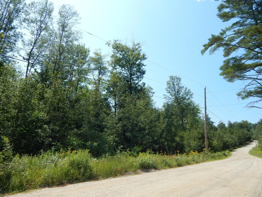 - Cramm Rd, Parsonsfield, ME 04047 - photo 1