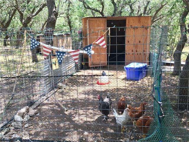 5 hens that could convey with the property if you wish.  One is laying eggs already and the other are still a little young yet.