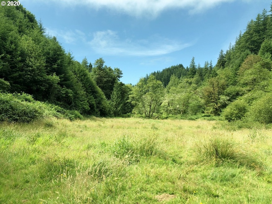 7421 N Fork Rd, Florence, OR 97439 - photo 1