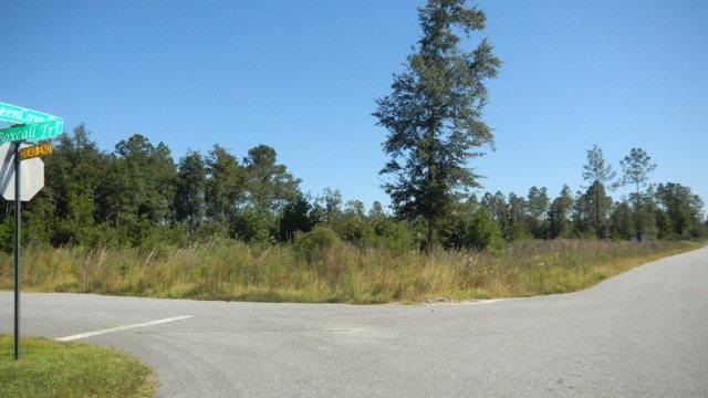 10 Boxcall Trail, Brunswick, GA 31525 - photo 1
