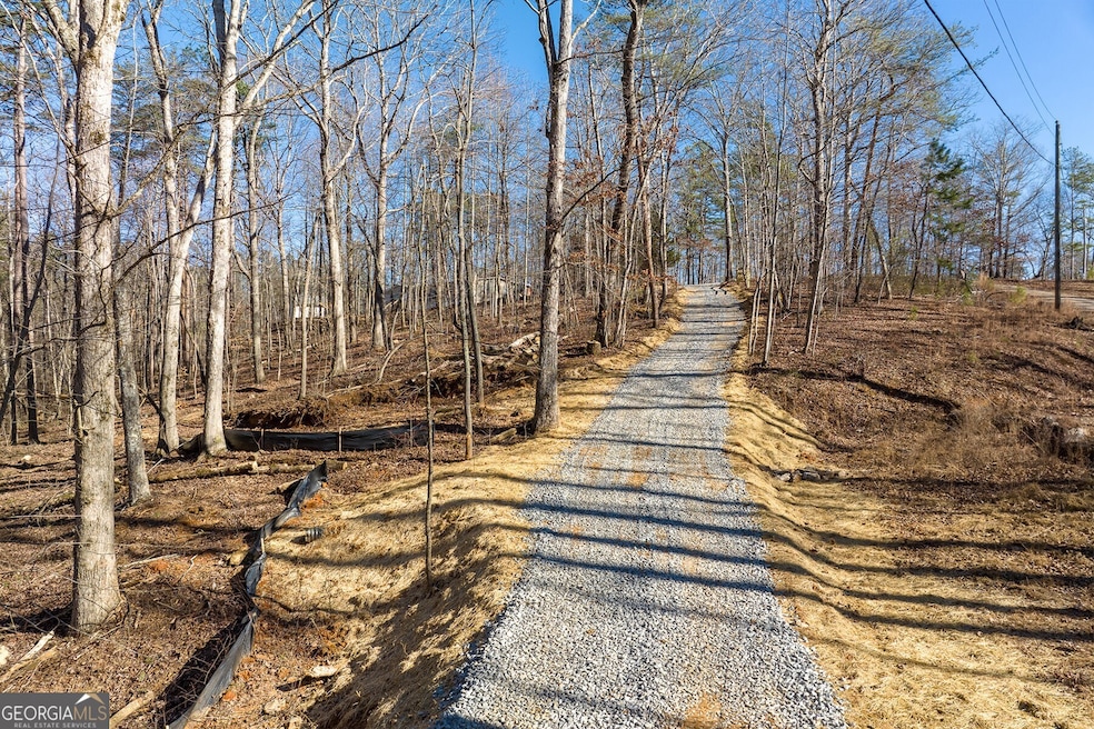LT 41 White Oak Dr unit 41 TRACT B, Ellijay, GA 30540 - photo 1