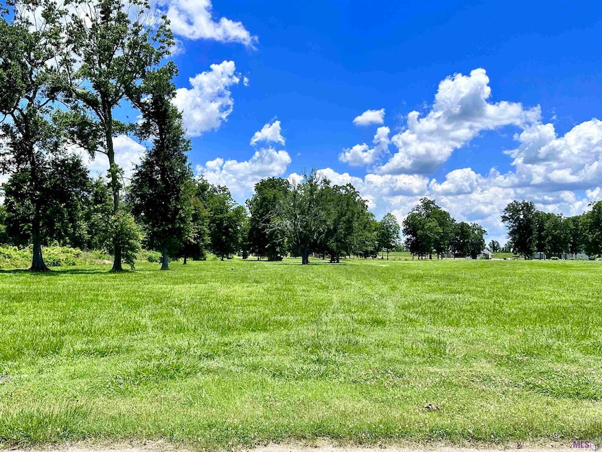 3224 Stanford Levy Rd, Darrow, LA 70725 - photo 1