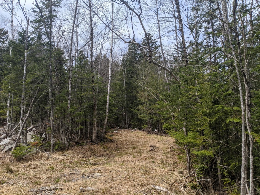 0 State Park Rd unit 1490059, Dover-Foxcroft, ME 04426 - photo 1