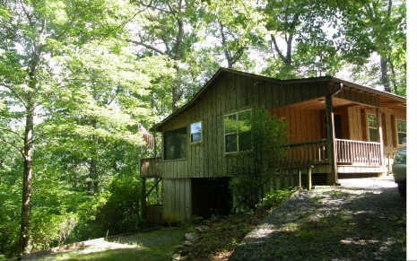 Main View