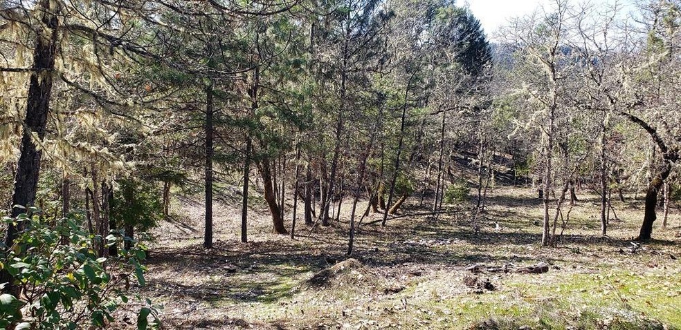 Primary Photo