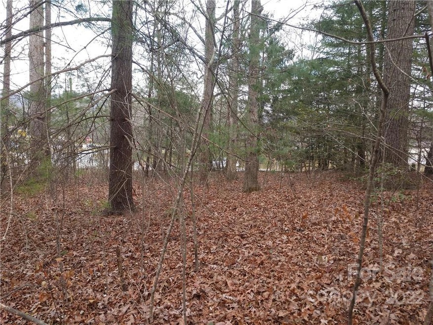 #3 Rural Retreat Dr N unit 3, Hendersonville, NC 28791 - photo 1