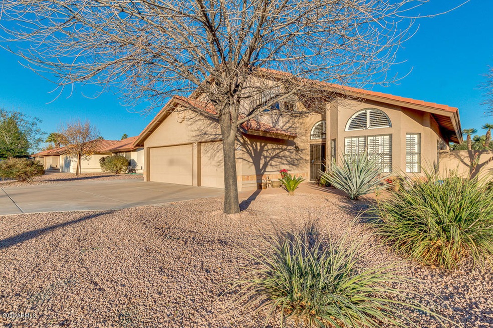 02-Arvada