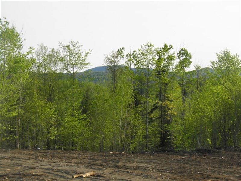 US RT 2 Us Route 2 W, Wilton, ME 04294 - photo 1