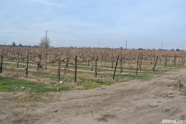 2963 E Peltier Rd, Acampo, CA 95220 - photo 1