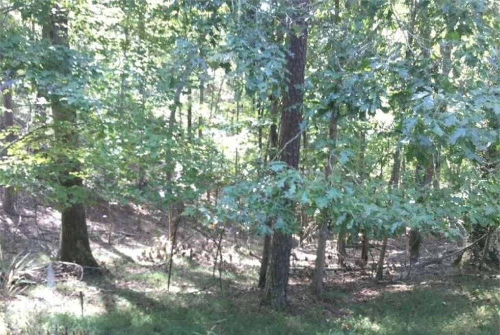 0 Pamela Ct unit 9027334, Ellijay, GA 30540 - photo 1