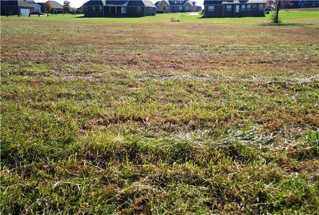 Creekside Lot 31 - 0.973 Acres