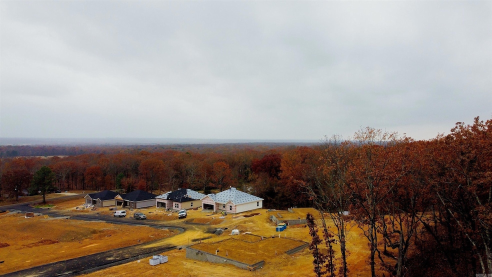 LOT 2 Coal Mountain Rd, El Paso, AR 72045 - photo 1