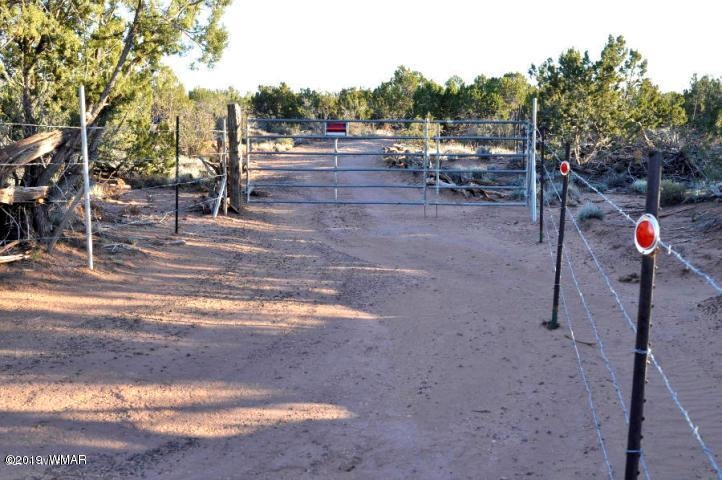 Front Entry Gate