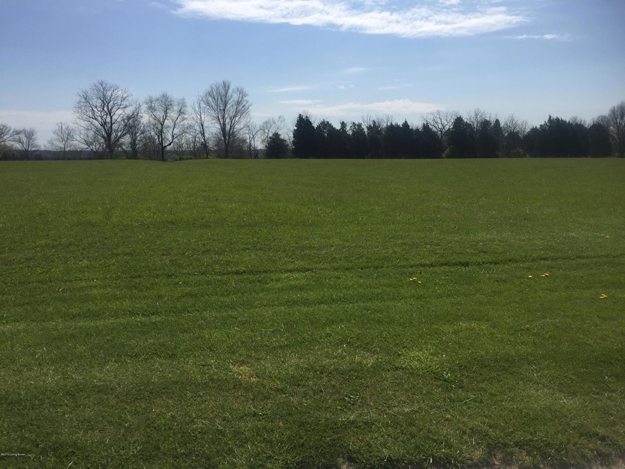 Country Squire Picture