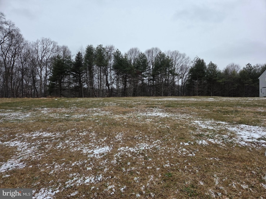 lot 3 White Spruce Way, Conowingo, MD 21918 - photo 1