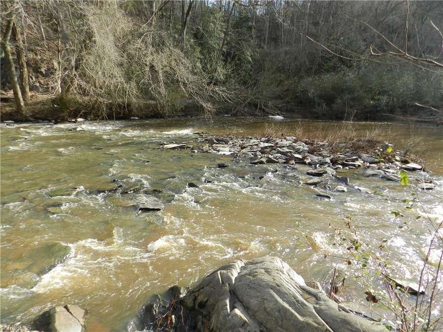 0 Usher Britt Dr unit 785204, Star, NC 27356 - photo 1