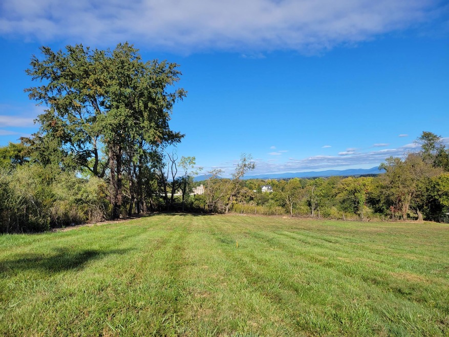 0 Captain Hizer Ln unit 635439, Verona, VA 24482 - photo 1