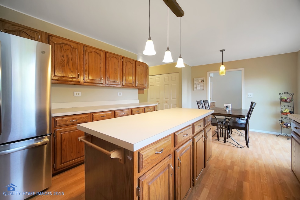 1950 Peach Tree Ln, Algonquin, IL 60102 - photo 1