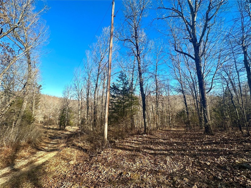 0 Maries County 518 Rd unit 23006790, Rolla, MO 65401 - photo 1