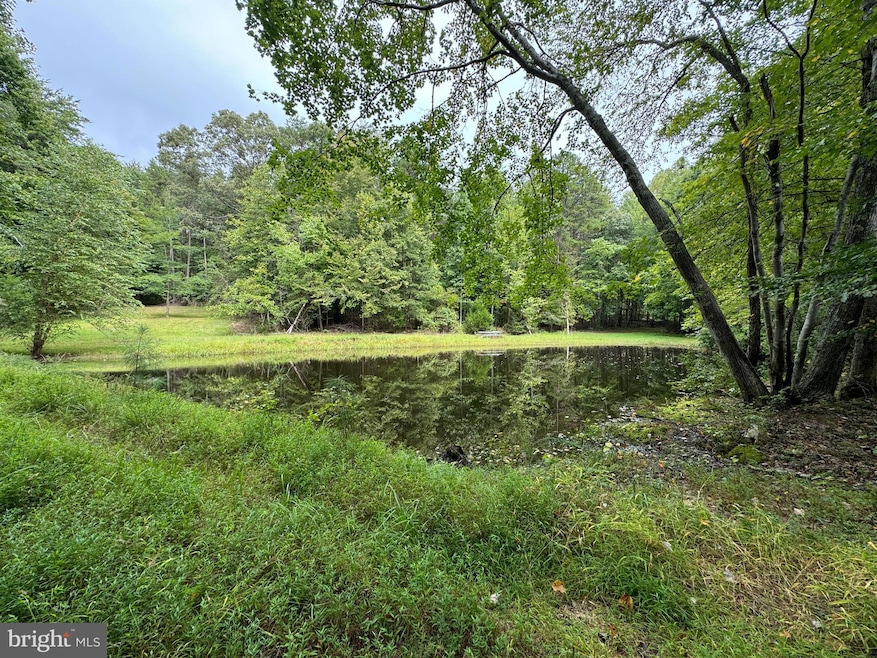 Lot 0110 Mountain Track Rd, Orange, VA 22960 - photo 1