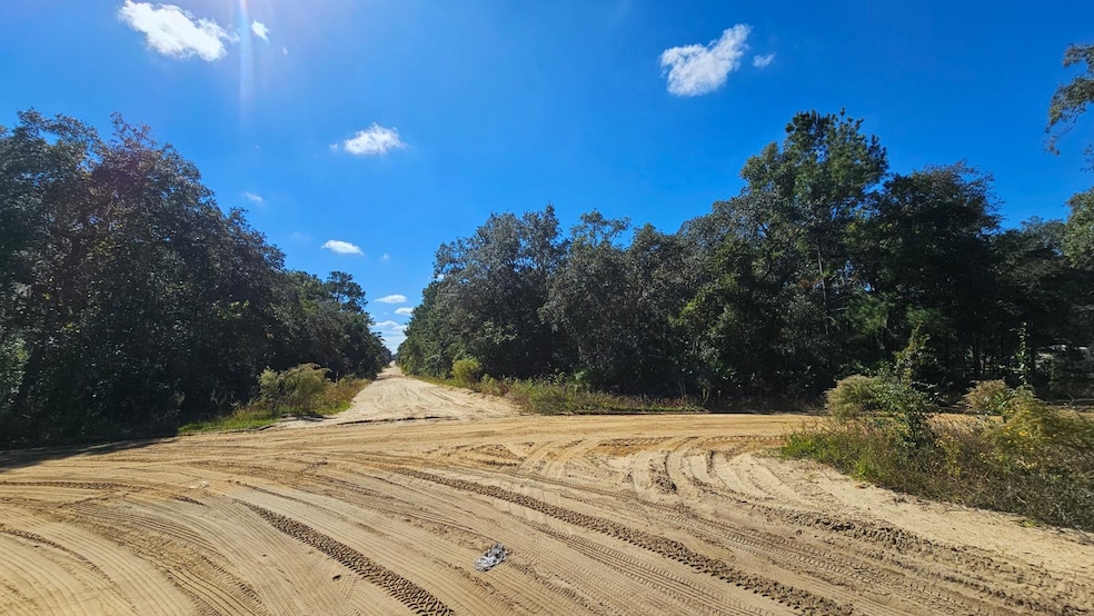 0 Neilsen Ave unit 25581217, Interlachen, FL 32148 - photo 1