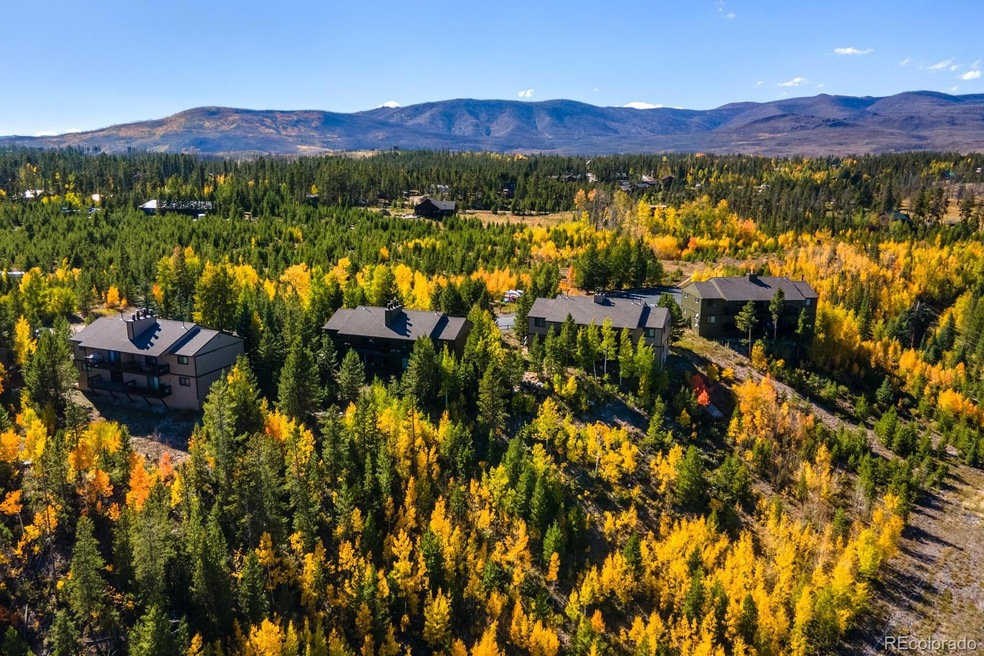 206 Tall Pine Cir unit 16C, Grand Lake, CO 80447 - photo 1