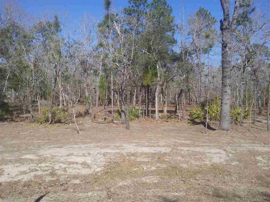 0 Red Oak Rd unit 305071, Perry, FL 32348 - photo 1