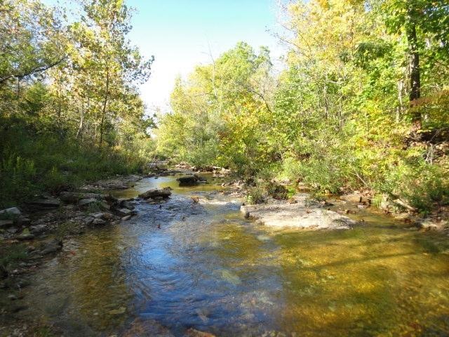 Main view River