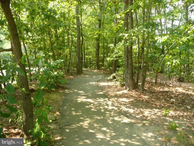 4128 Churchman Way unit 327, Woodbridge, VA 22192 - photo 1