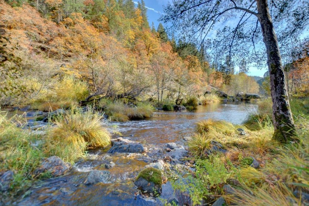 Creekfront