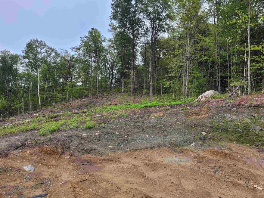17-18 Halls Brook Rd, Groton, NH 03266 - photo 1