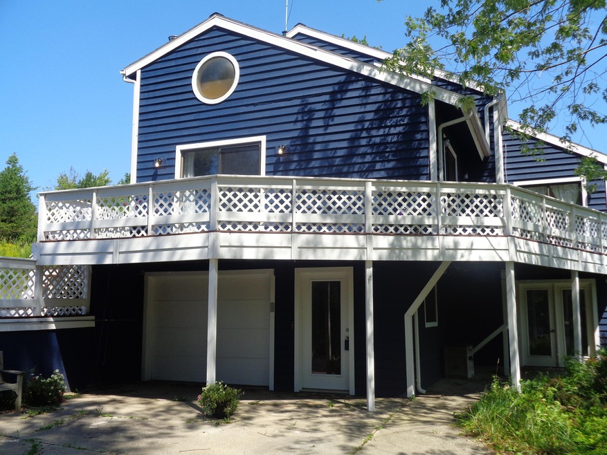 Lower level entry and garage