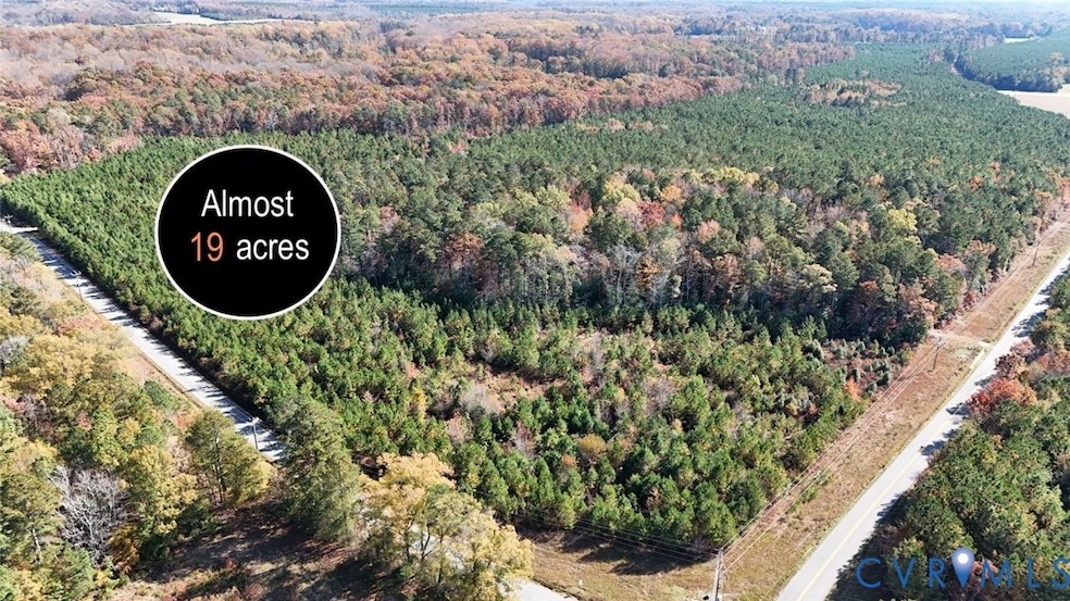 Aerial view of property and surrounding area with a forest