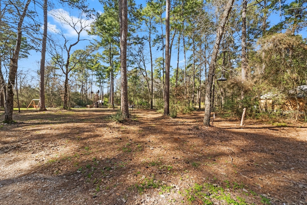 This is a spacious, naturally wooded backyard with