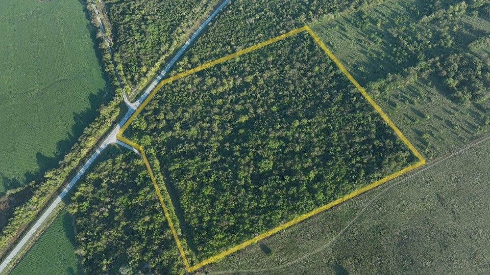 30781 Cherry Rd, Wentworth, MO 64873 - photo 1