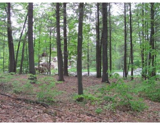 65 Linden Ridge Rd, Amherst, MA 01002 - photo 1