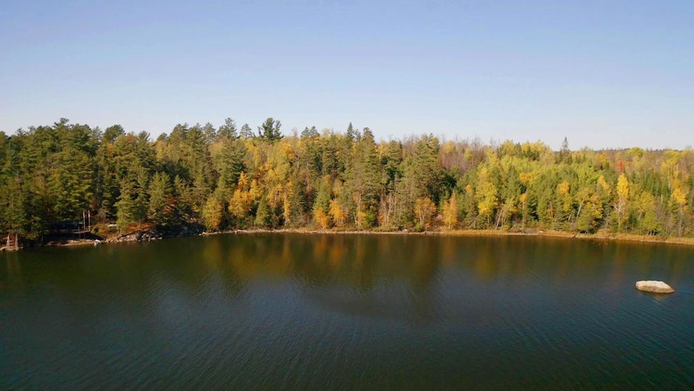 Lot 5 Wakemup Narrows N, Cook, MN 55771 - photo 1