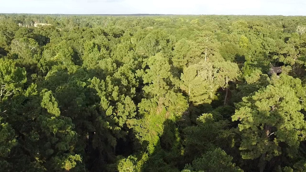Great wooded lot