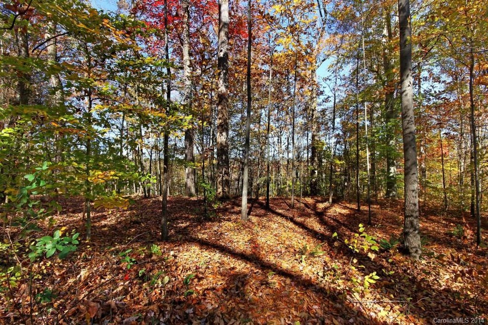 135 Wildeman Trail, Statesville, NC 28625 - photo 1