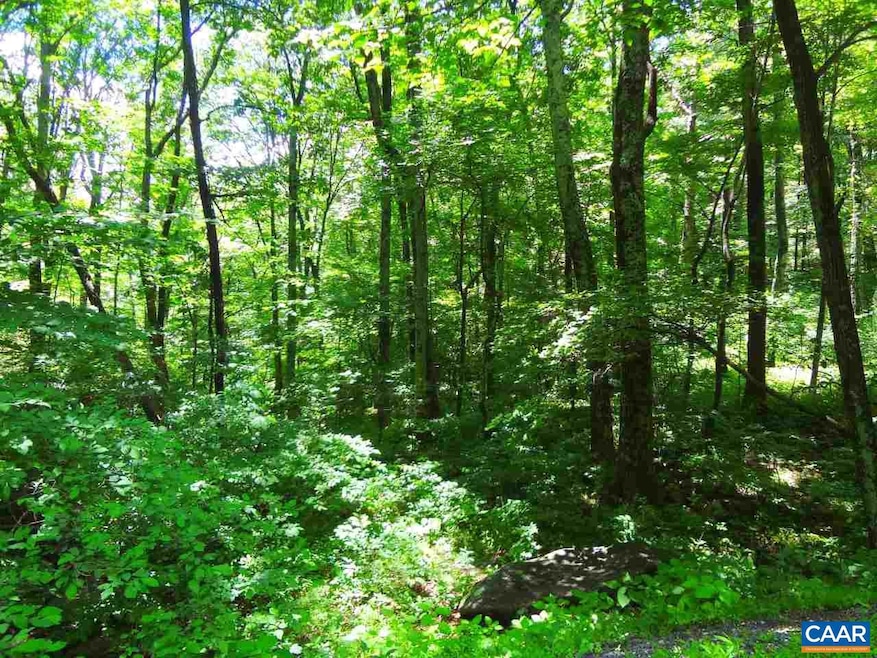 4 Laurel Ct unit LAUREL RIDGE 99, Nellysford, VA 22958 - photo 1